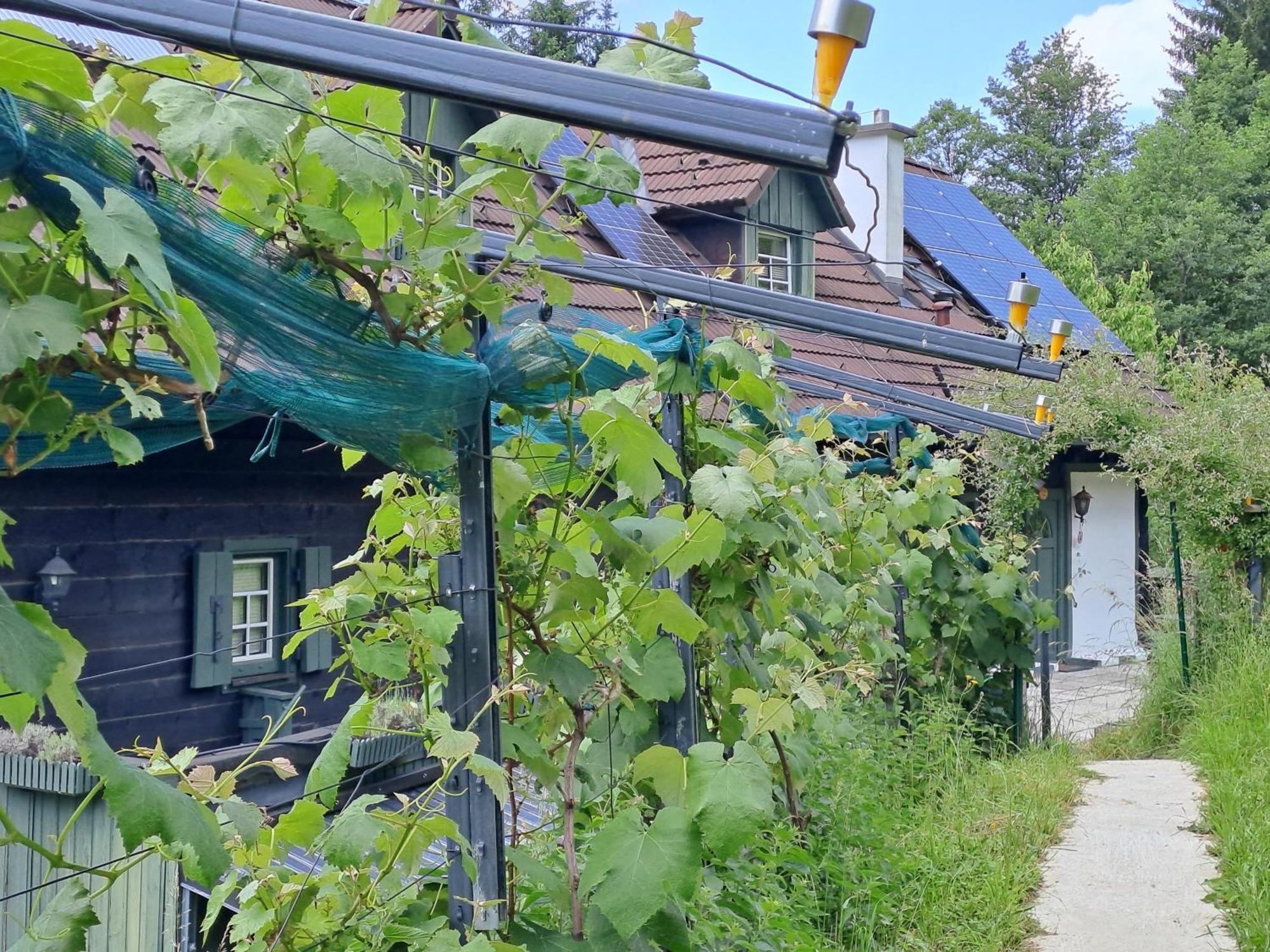 Das Altsteirische Landhaus - La Maison De Pronegg - Feriendomizil Im Biosphaerenpark Wienerwald Pressbaum Exterior photo